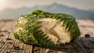 Il formaggio ancestrale dell’Appennino tosco-romagnolo si mangia freschissimo, avvolto in foglie di felce